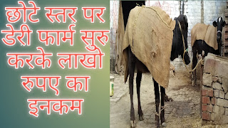 मुख्यमंत्री ग्राम द्योग रोजगार योजना Chief Minister Rural Employment Scheme मुख्यमंत्री ग्राम द्योग रोजगार योजना Chief Minister Rural Employment Scheme